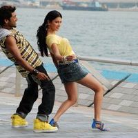 Surya And Sruthi Hassan In 7am Arivu | Picture 52570